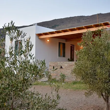 Villa Pergola Andros Gavrio Exterior photo