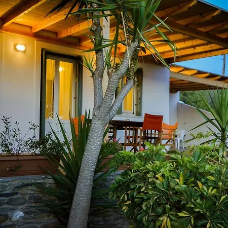 Villa Pergola Andros Gavrio Exterior photo