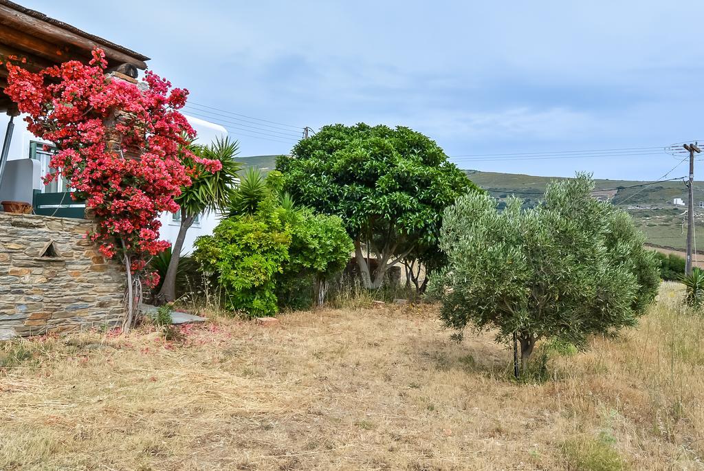 Villa Pergola Andros *