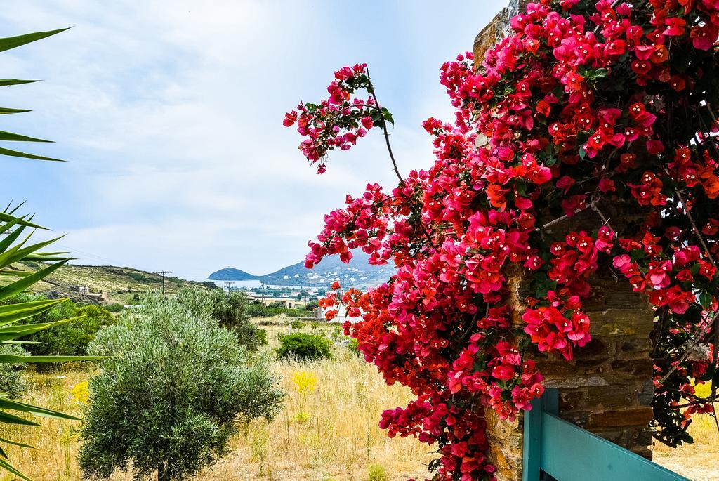 Villa Pergola Andros *